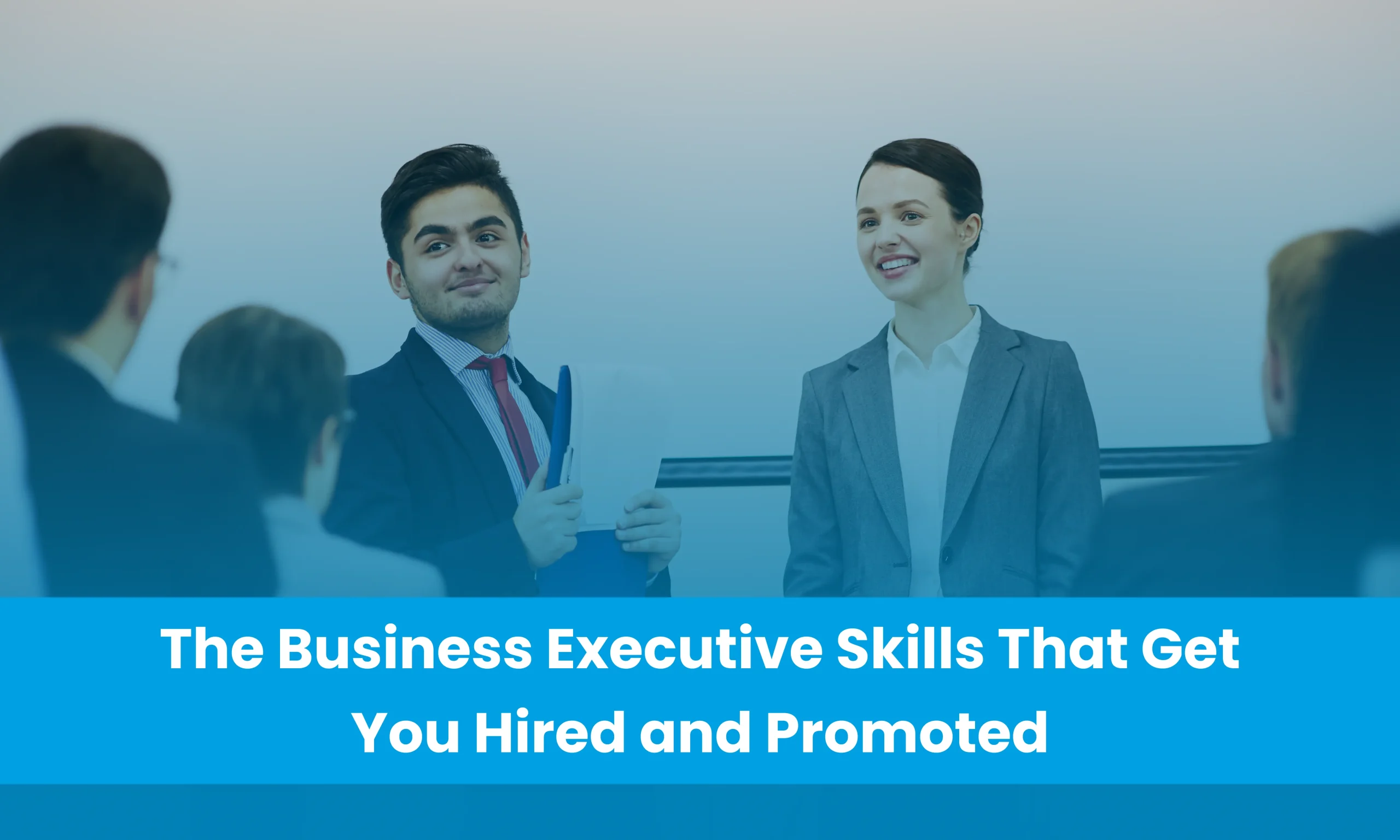 Business Executive Skills