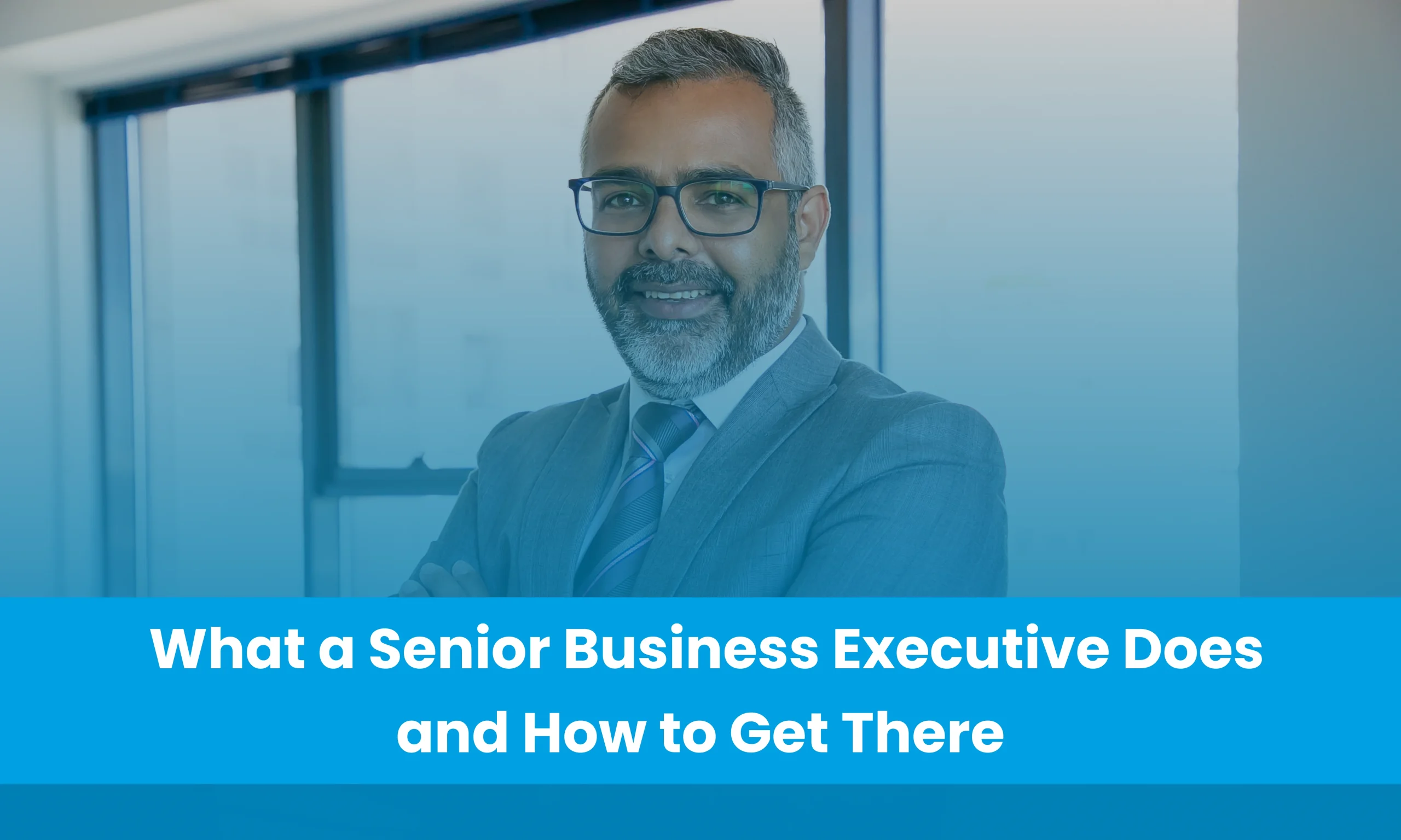 Senior Business Executive