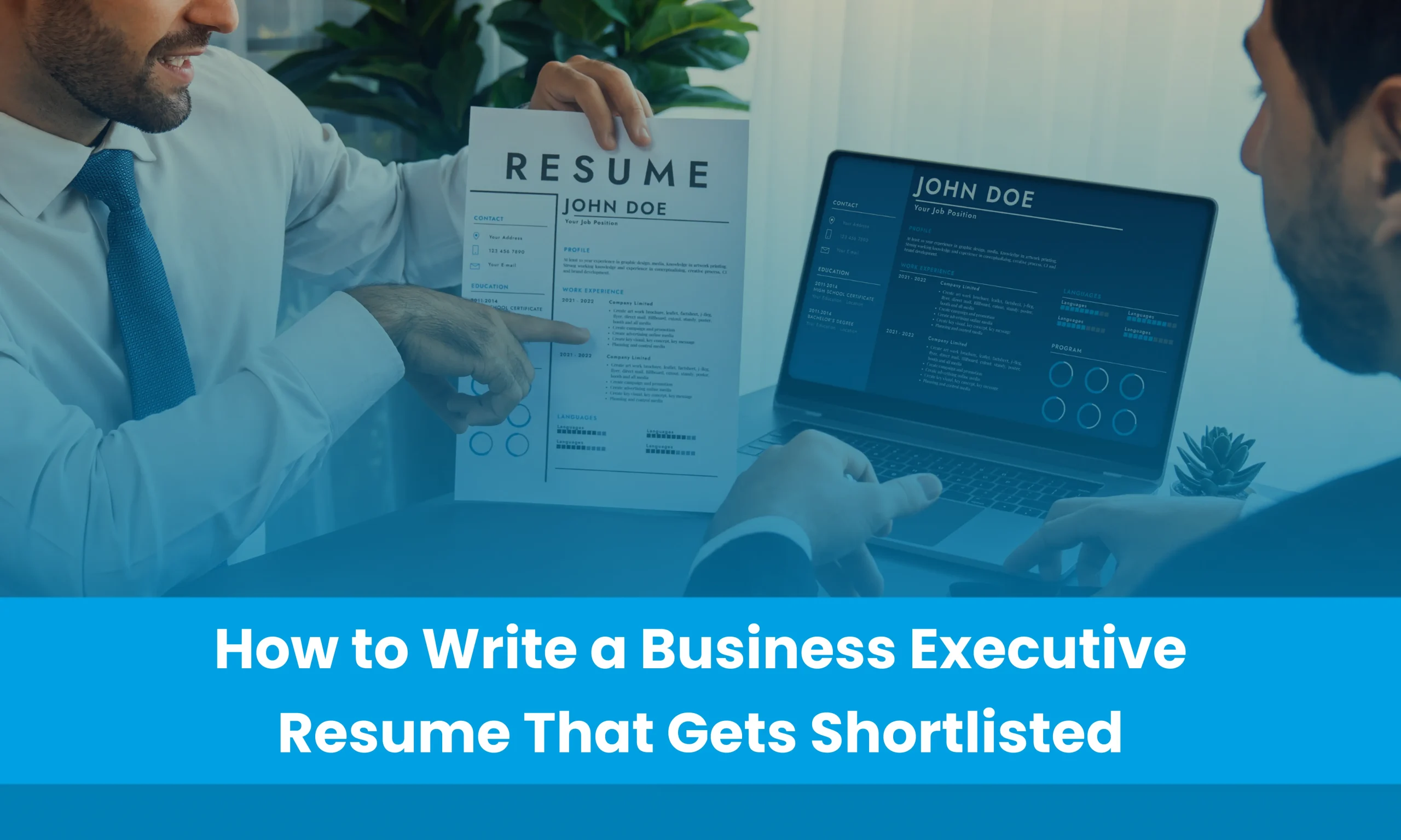 business executive resume