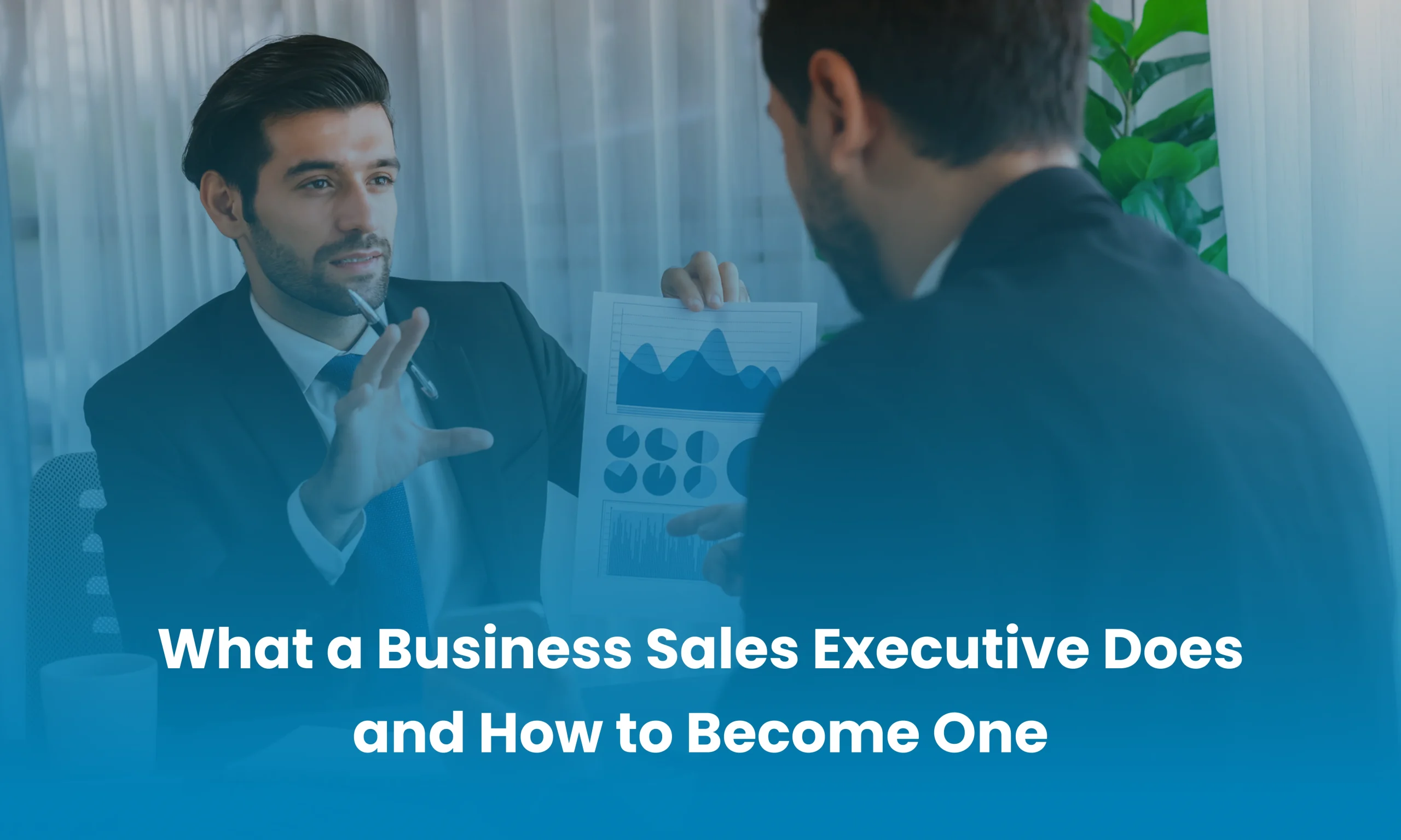 business sales executive