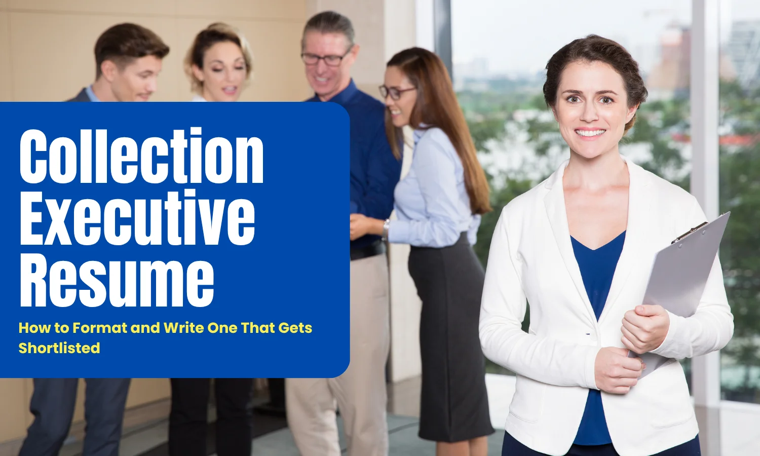 collection executive resume